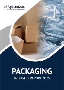 2025 Packaging  Industry Report